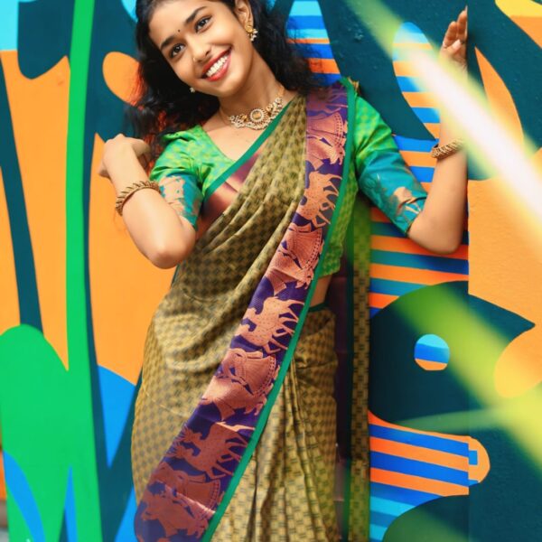 poondhamil sarees